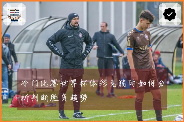 冷门比赛世界杯体彩竞猜时如何分析判断胜负趋势