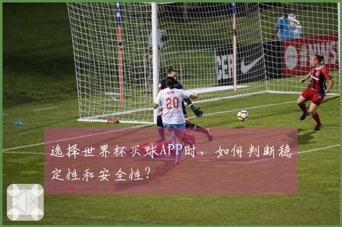 选择世界杯买球APP时，如何判断稳定性和安全性？