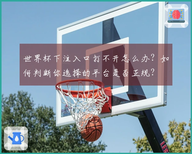 世界杯下注入口打不开怎么办？如何判断你选择的平台是否正规？