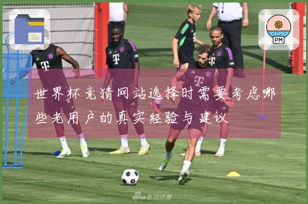 世界杯竞猜网站选择时需要考虑哪些老用户的真实经验与建议