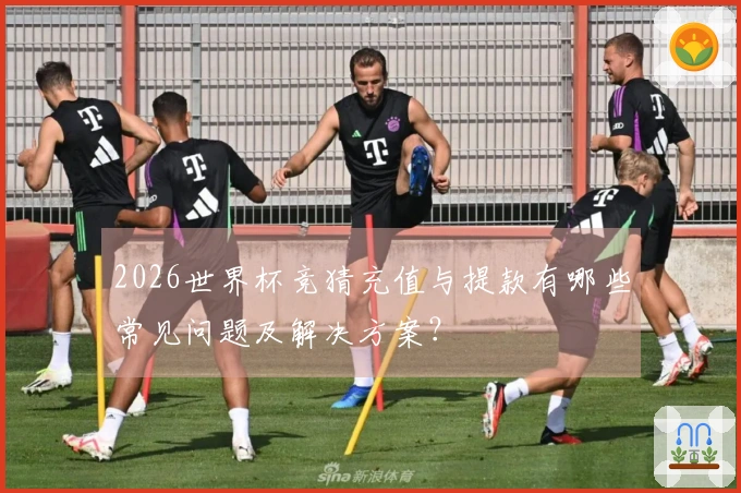 2026世界杯竞猜充值与提款有哪些常见问题及解决方案？