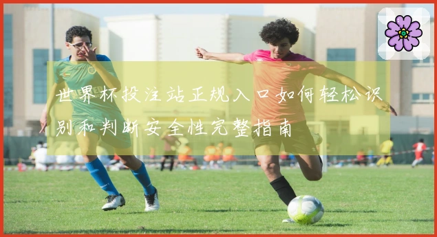 世界杯投注站正规入口如何轻松识别和判断安全性完整指南