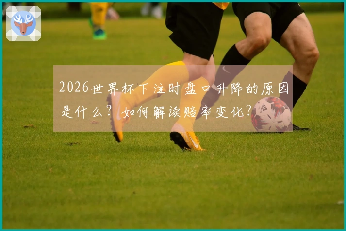 2026世界杯下注时盘口升降的原因是什么？如何解读赔率变化？