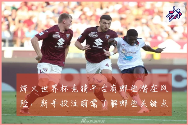 烽火世界杯竞猜平台有哪些潜在风险，新手投注前需了解哪些关键点
