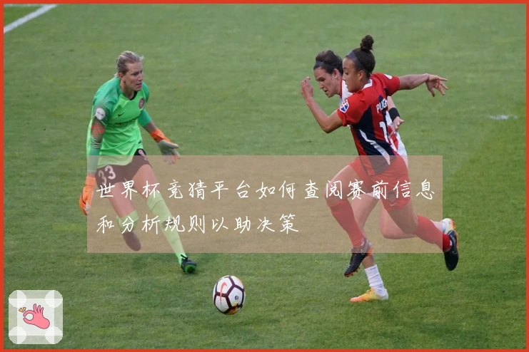 世界杯竞猜平台如何查阅赛前信息和分析规则以助决策