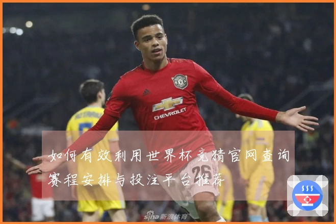 如何有效利用世界杯竞猜官网查询赛程安排与投注平台推荐