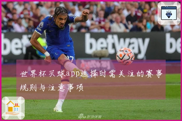 世界杯买球app选择时需关注的赛事规则与注意事项