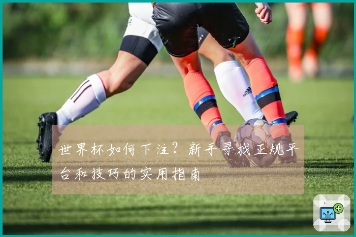 世界杯如何下注？新手寻找正规平台和技巧的实用指南