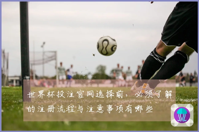 世界杯投注官网选择前，必须了解的注册流程与注意事项有哪些