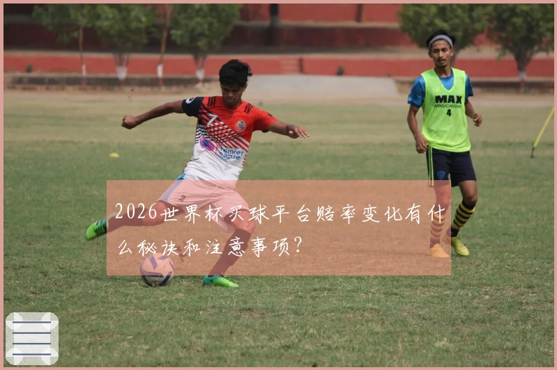 2026世界杯买球平台赔率变化有什么秘诀和注意事项？