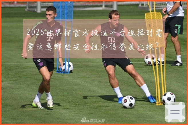 2026世界杯官方投注平台选择时需要注意哪些安全性和信誉度比较?