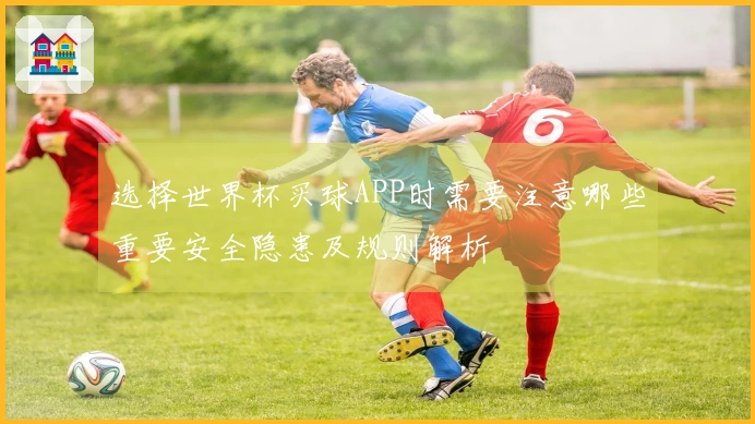 选择世界杯买球APP时需要注意哪些重要安全隐患及规则解析