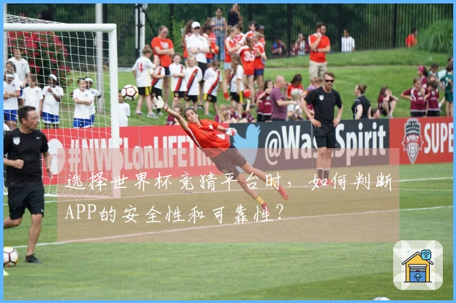 选择世界杯竞猜平台时，如何判断APP的安全性和可靠性？