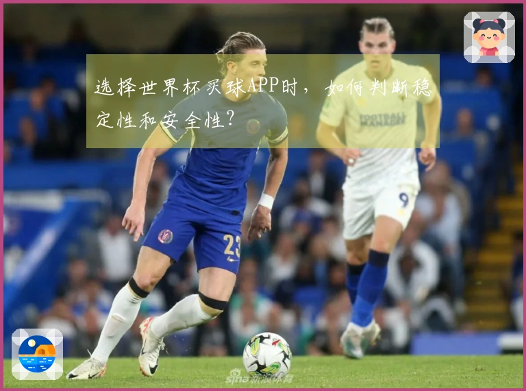 选择世界杯买球APP时，如何判断稳定性和安全性？