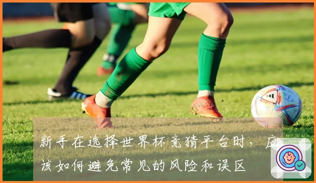 新手在选择世界杯竞猜平台时，应该如何避免常见的风险和误区