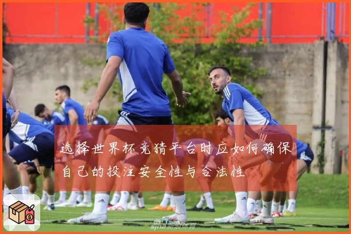 选择世界杯竞猜平台时应如何确保自己的投注安全性与合法性