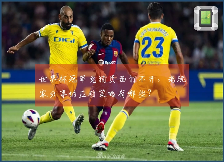 世界杯冠军竞猜页面打不开，老玩家分享的应对策略有哪些？