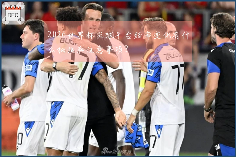 2026世界杯买球平台赔率变化有什么秘诀和注意事项？